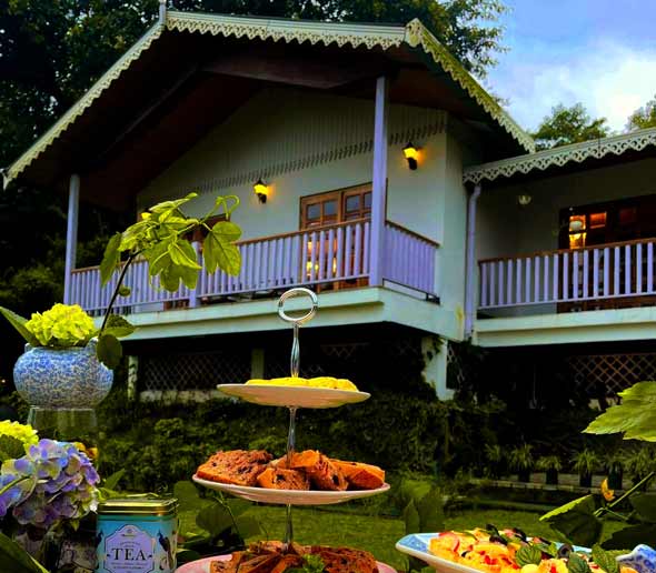 Makaibari Tea Estate