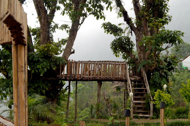 Tree View, Tendrabong, Mayrong