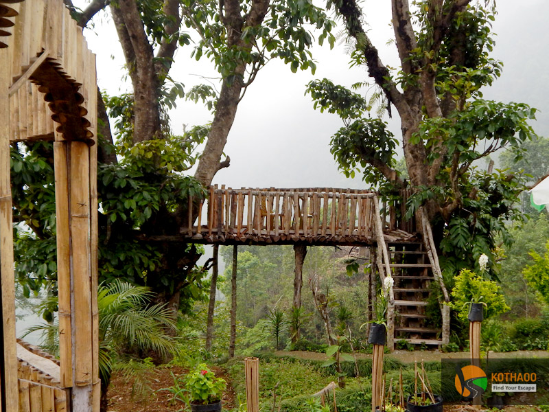 Tree View, Tendrabong, Kalimpong