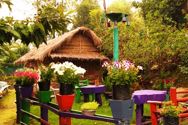 delo kalimpong hotels
