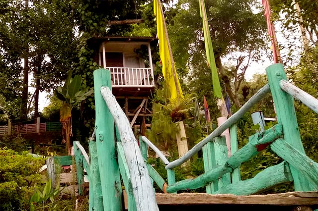 tree house kalimpong