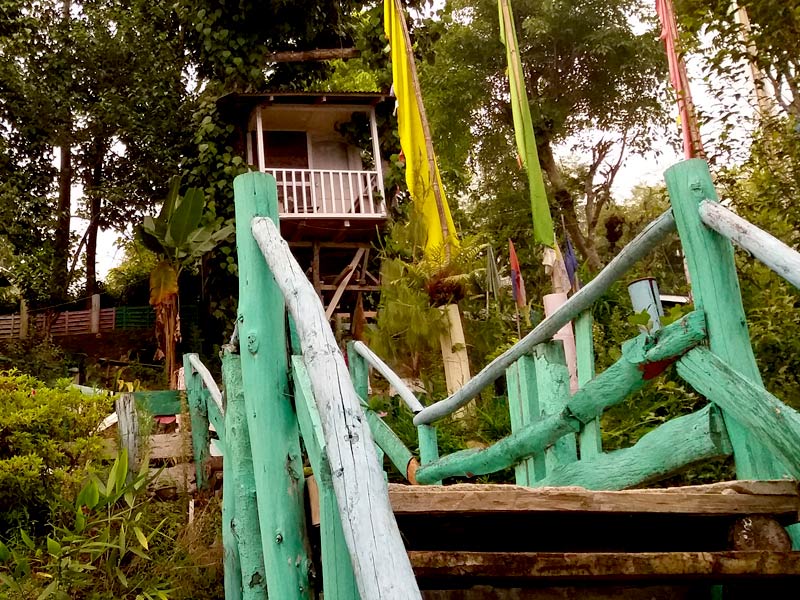 kalimpong tree house
